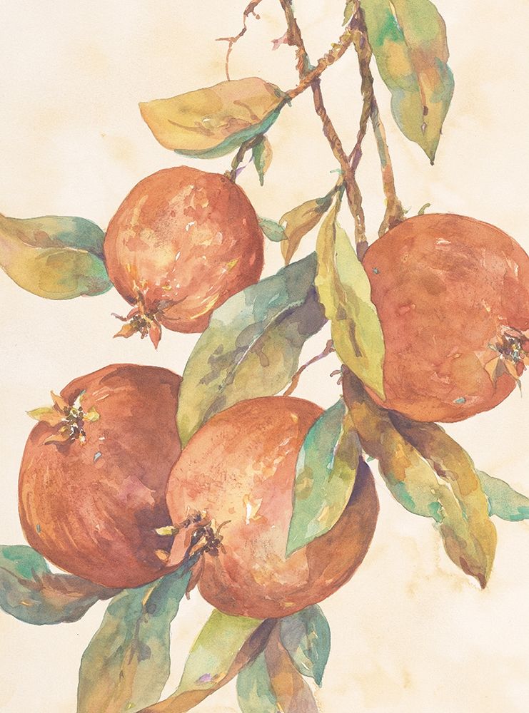 Hanging Fruit