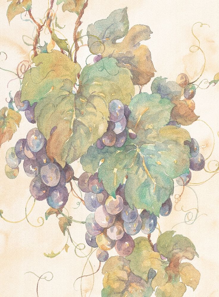 Hanging Grapes