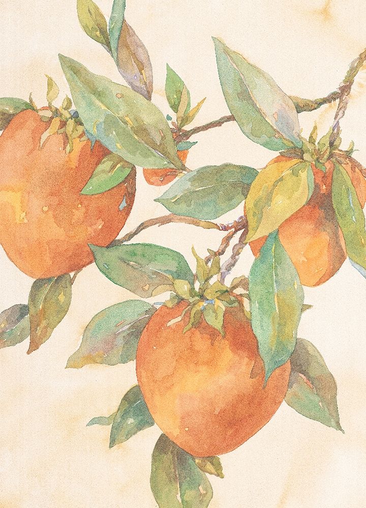 Hanging Peaches