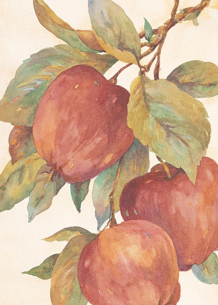 Hanging Apples