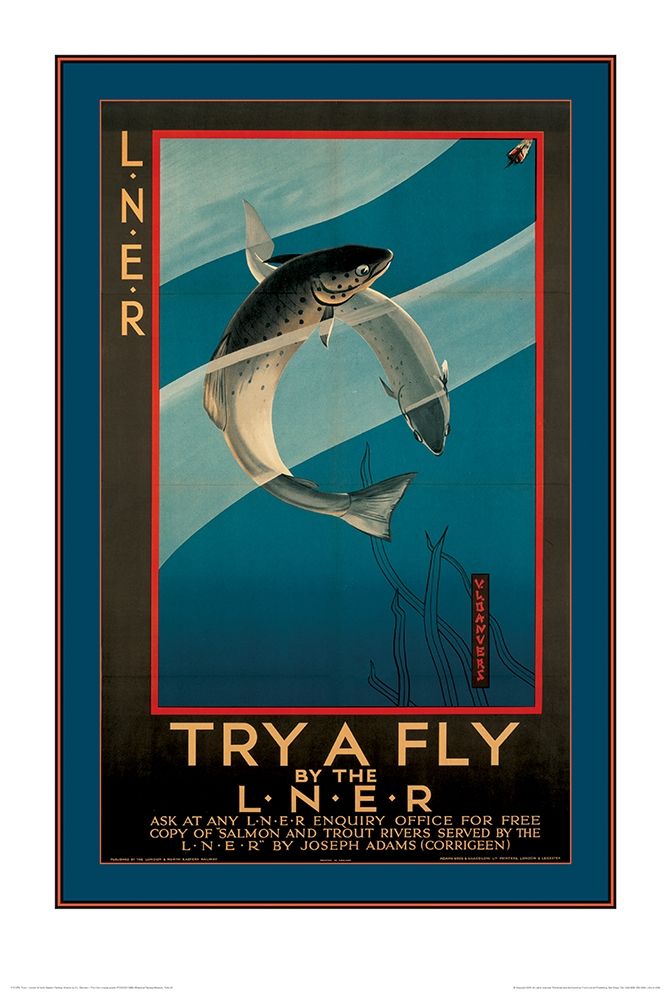 Try a Fly