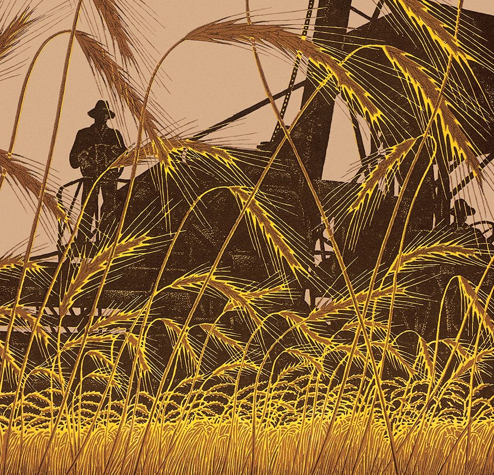 Wheat