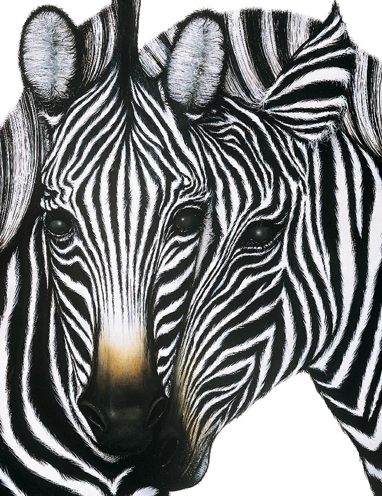 Zebra I