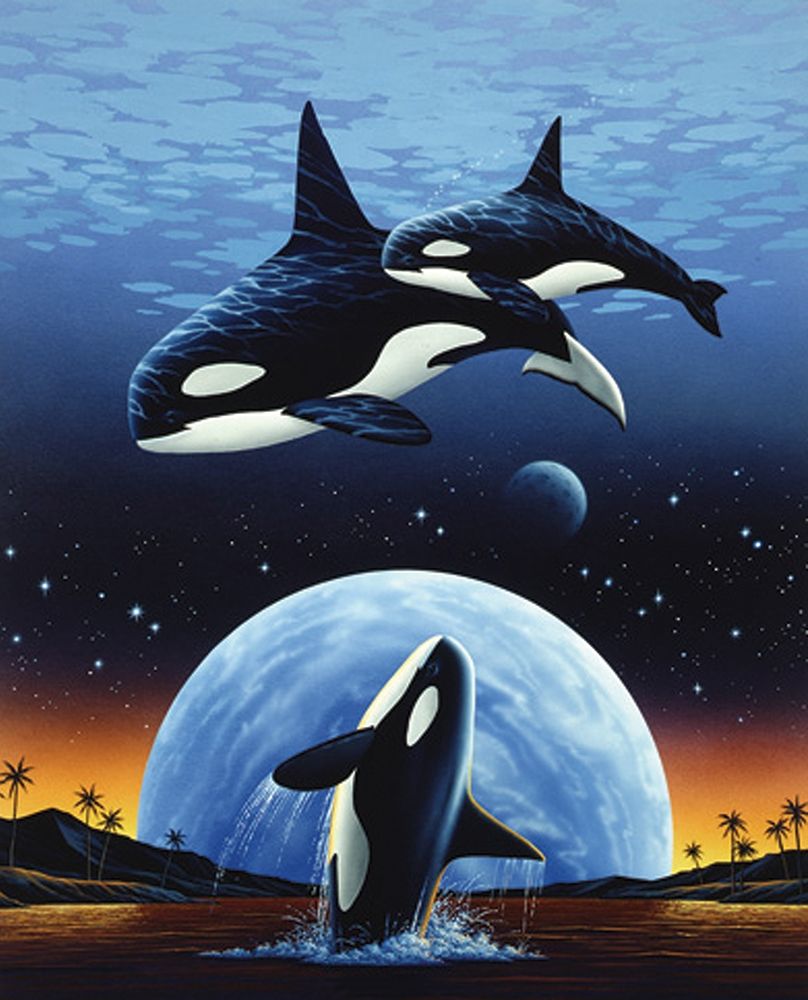 Orcas and Moon