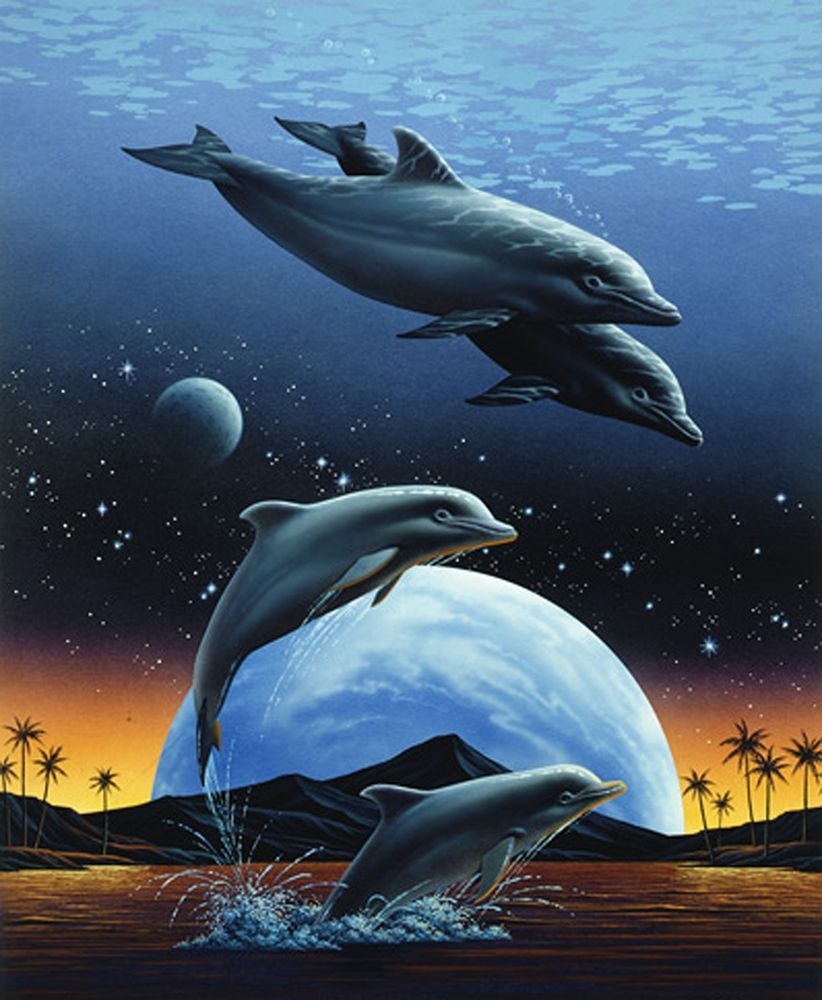 Porpoise and Moon II