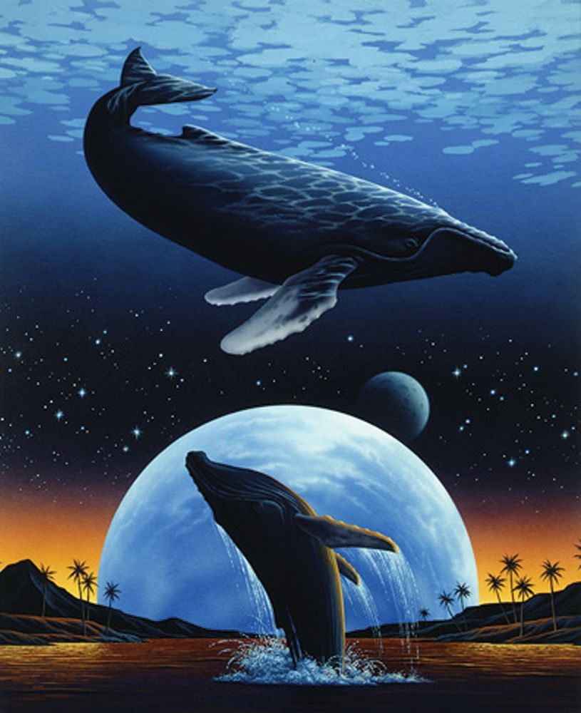 Whale and Moon