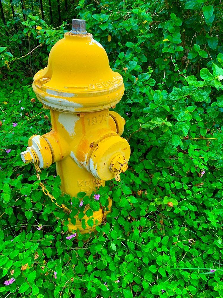 Cozy Hydrant