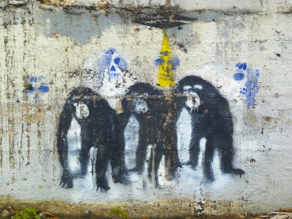 Three Monkeys