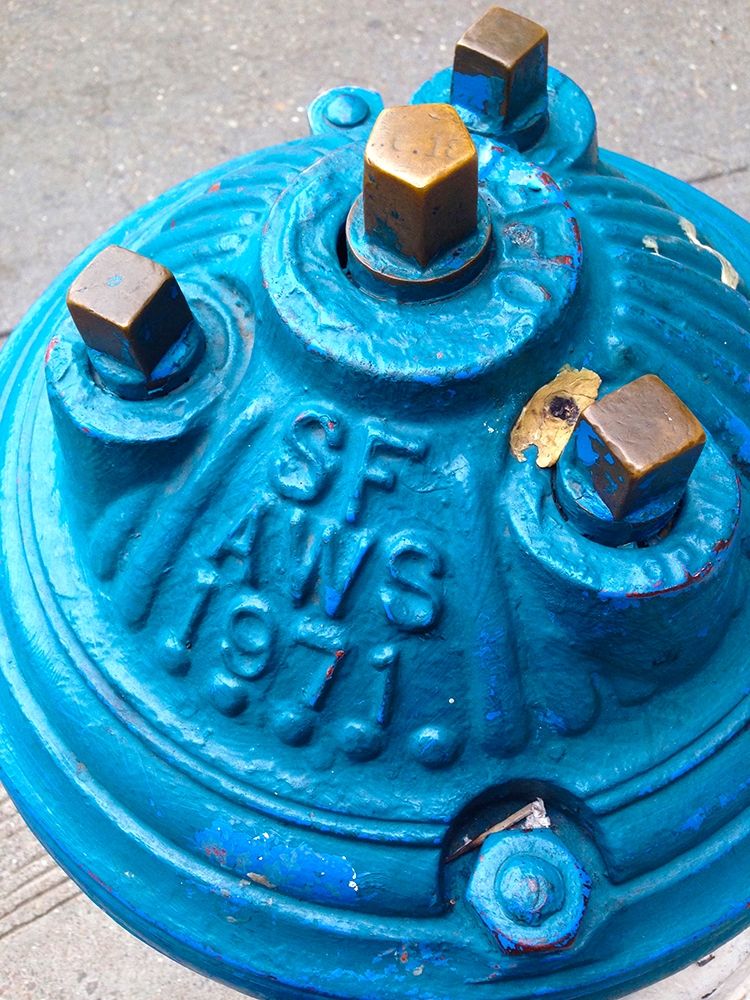 Blue Fire Hydrant I