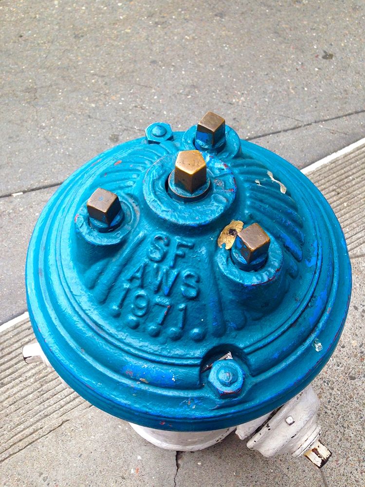 Blue Fire Hydrant II