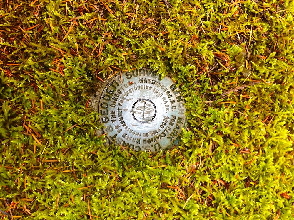 US Geodetic Survey Point I