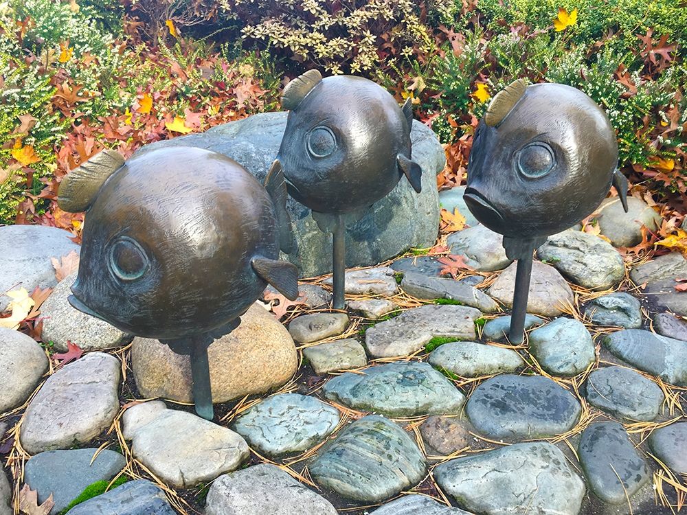 Bubble Fish