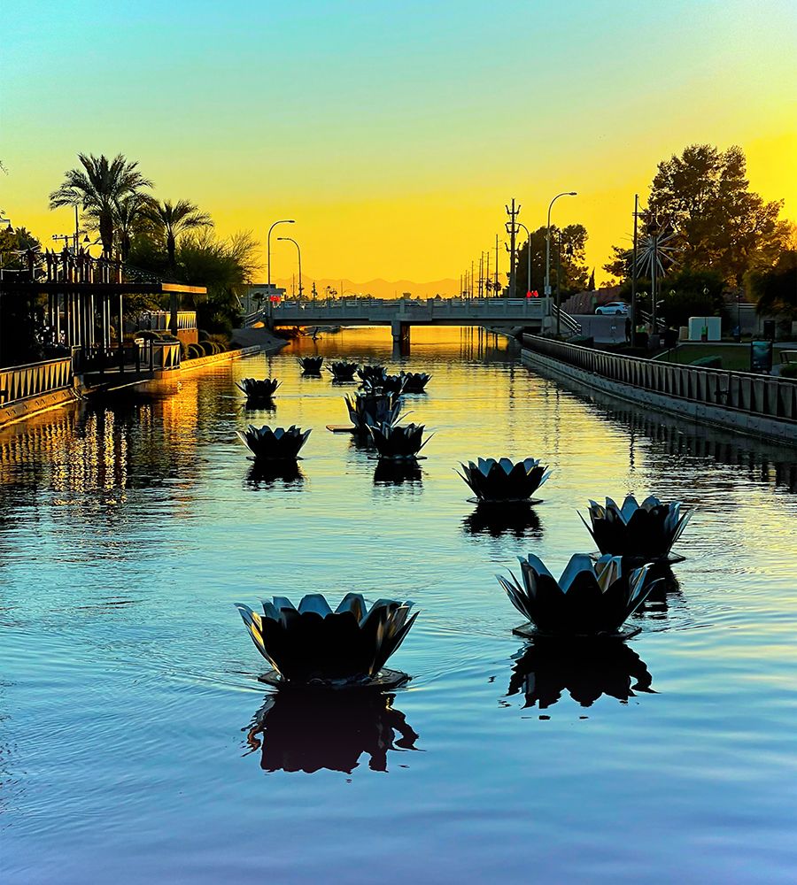 Scottsdale:FloatusBlossoms
