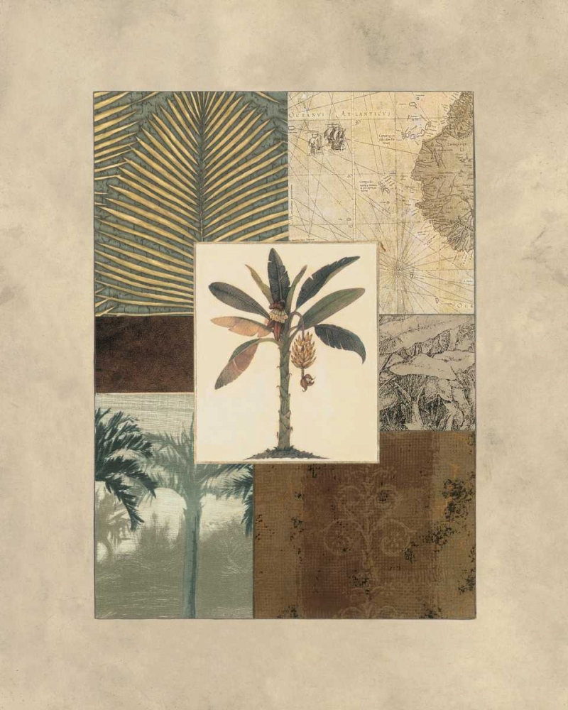 Colonial II