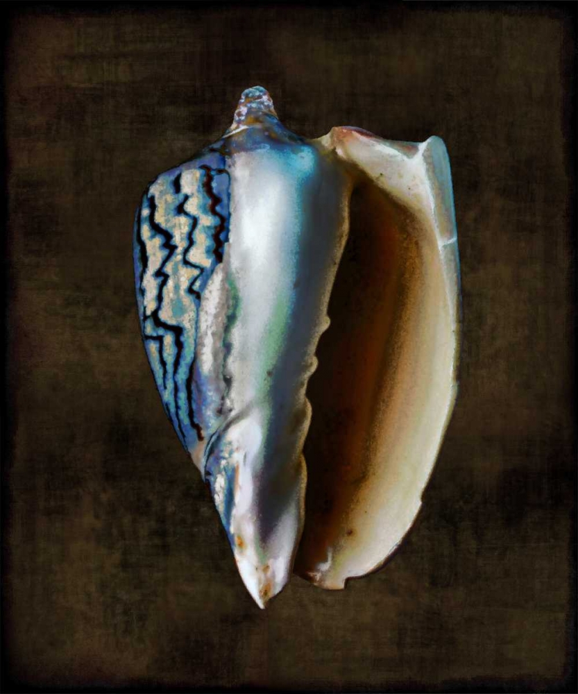 Ocean Treasure I