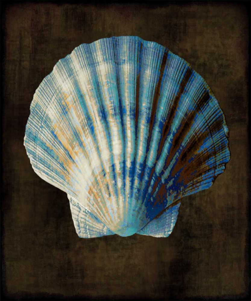 Ocean Treasure II