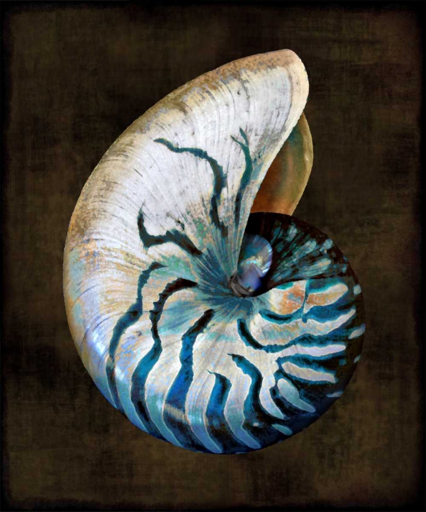 Ocean Treasure IV