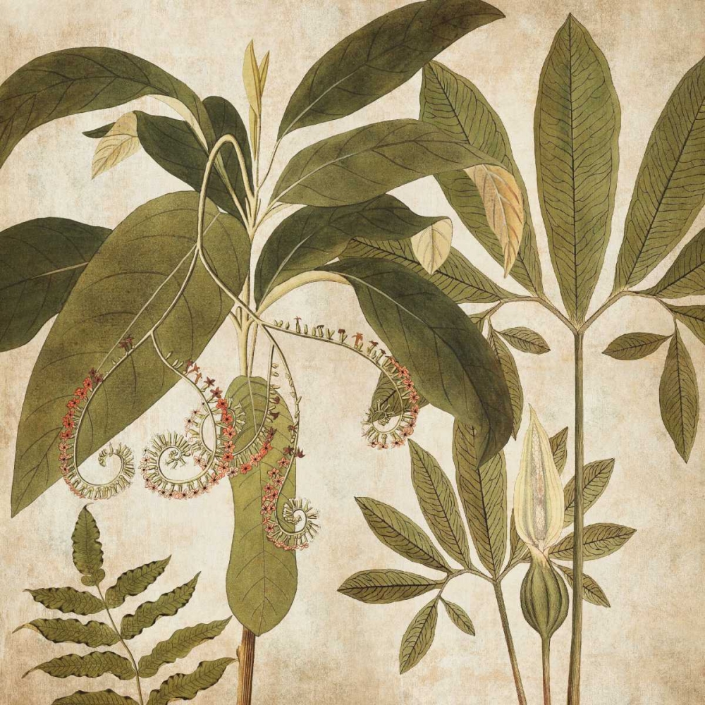 Palm Persuasion I