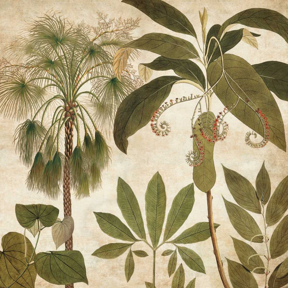 Palm Persuasion II