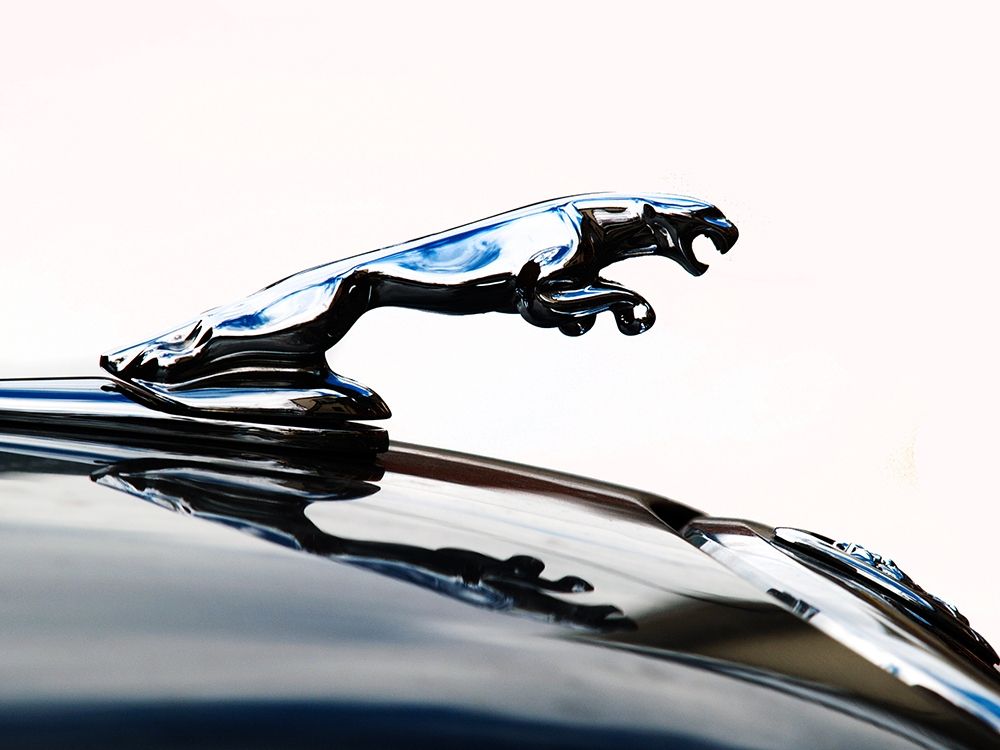 Jaguar hood ornament