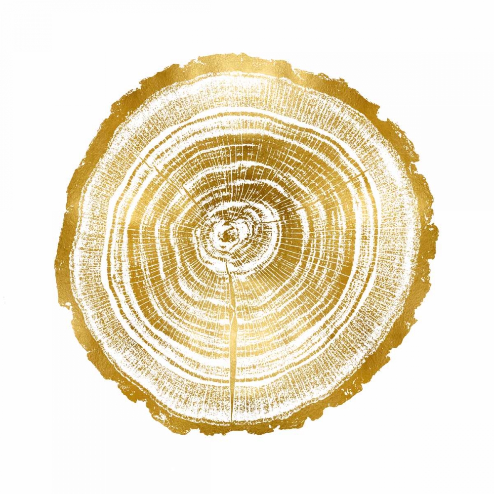 Timber Gold II