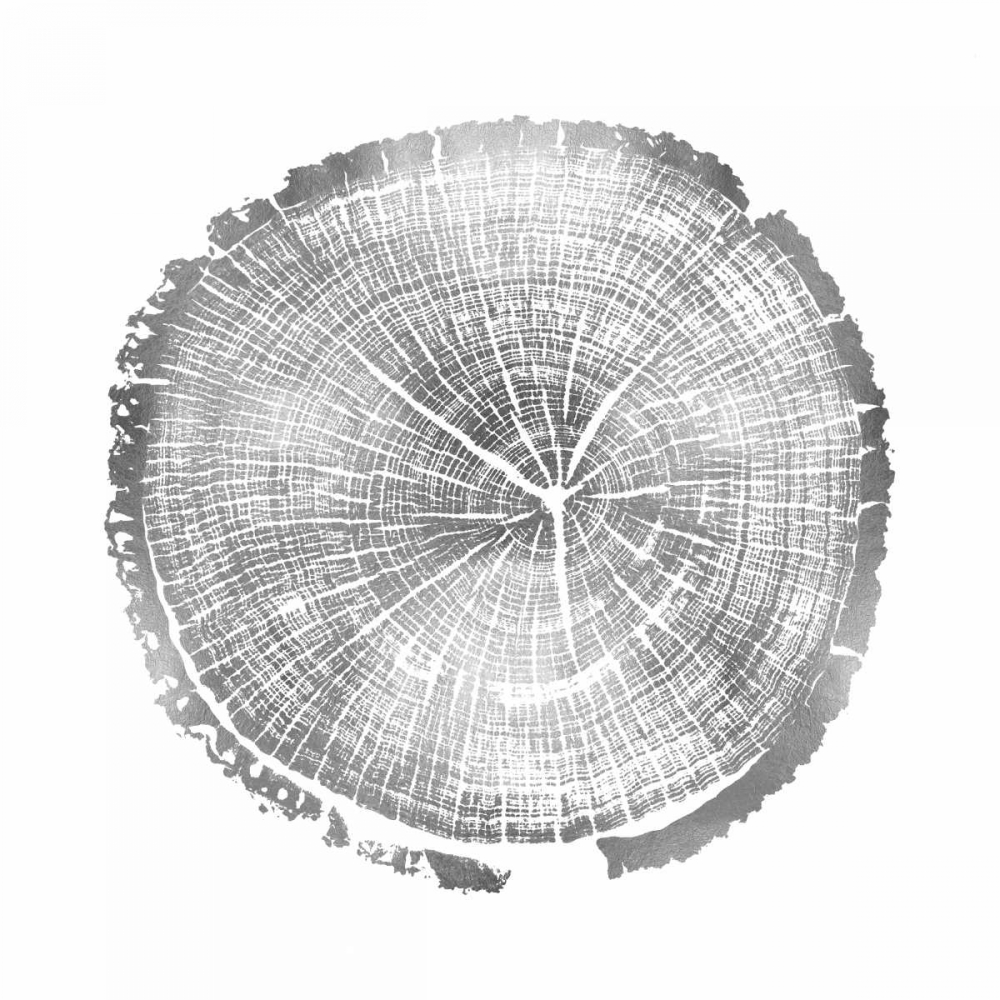 Timber Silver I