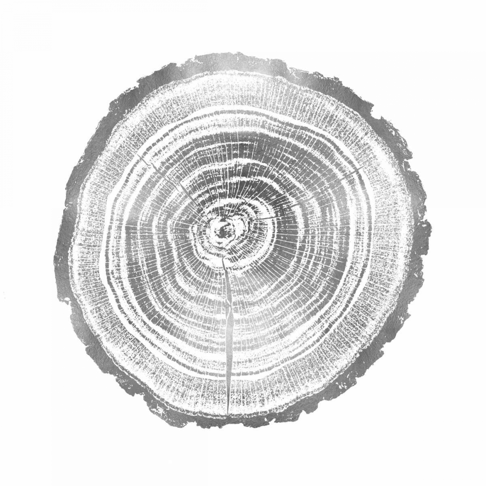 Timber Silver II