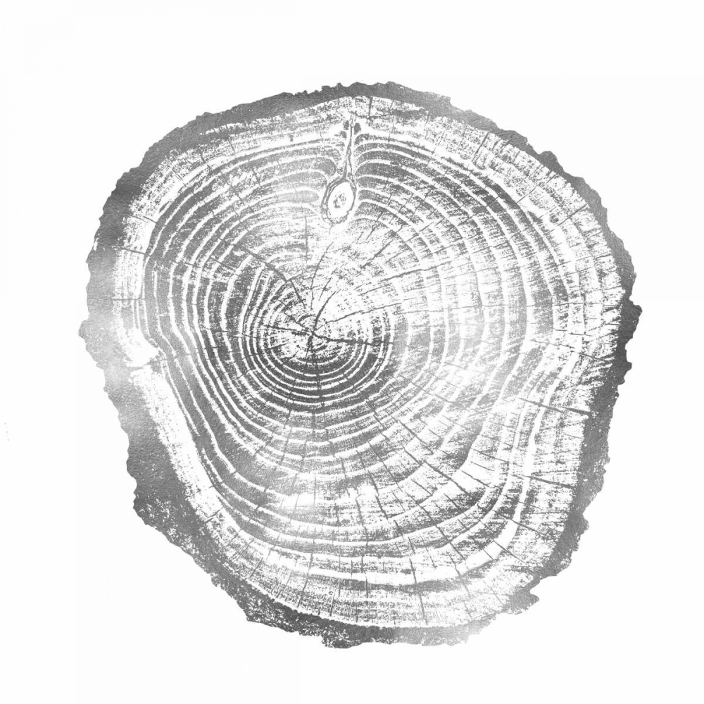 Timber Silver III