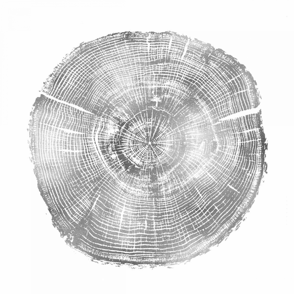 Timber Silver IV