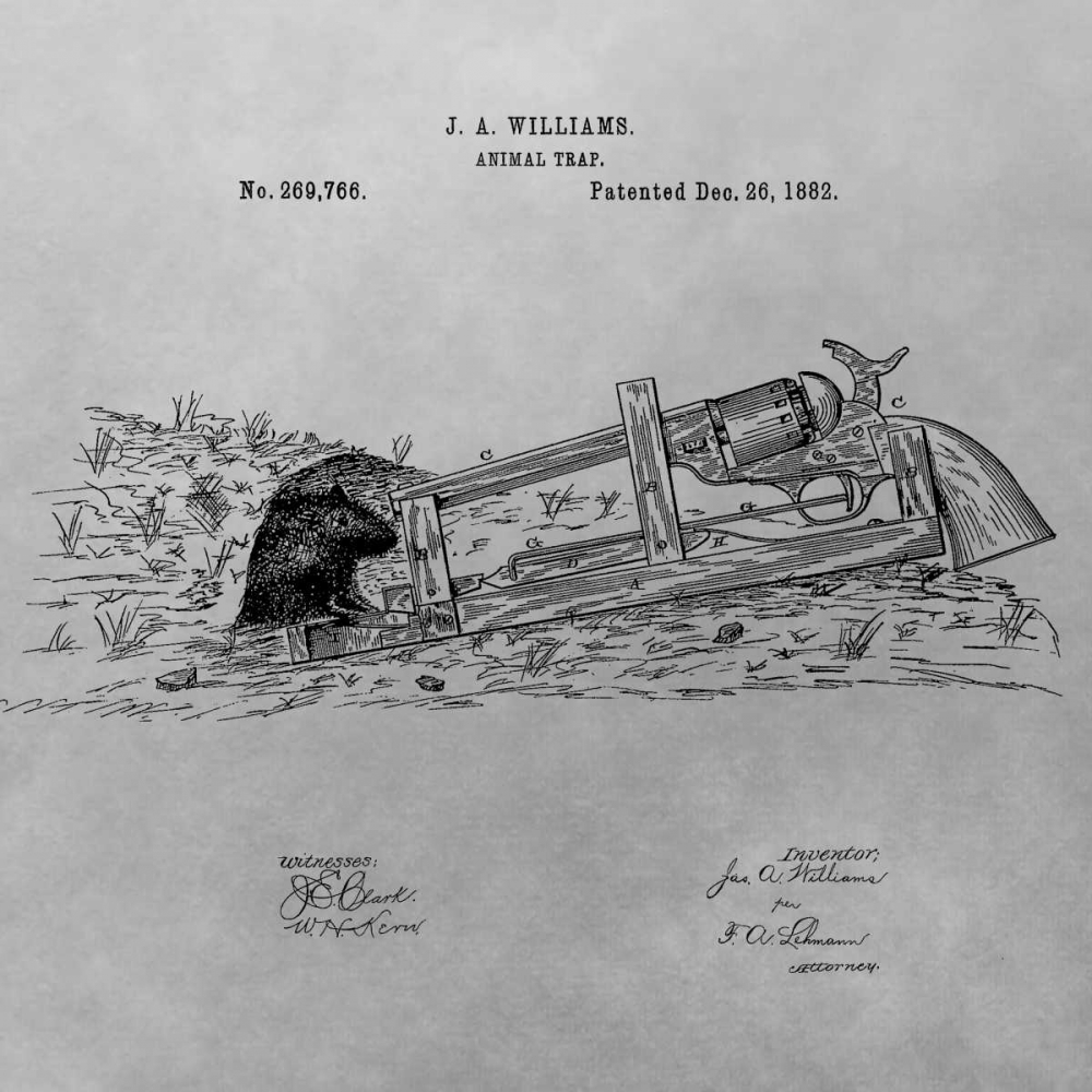 Animal Trap - 1882-Gray