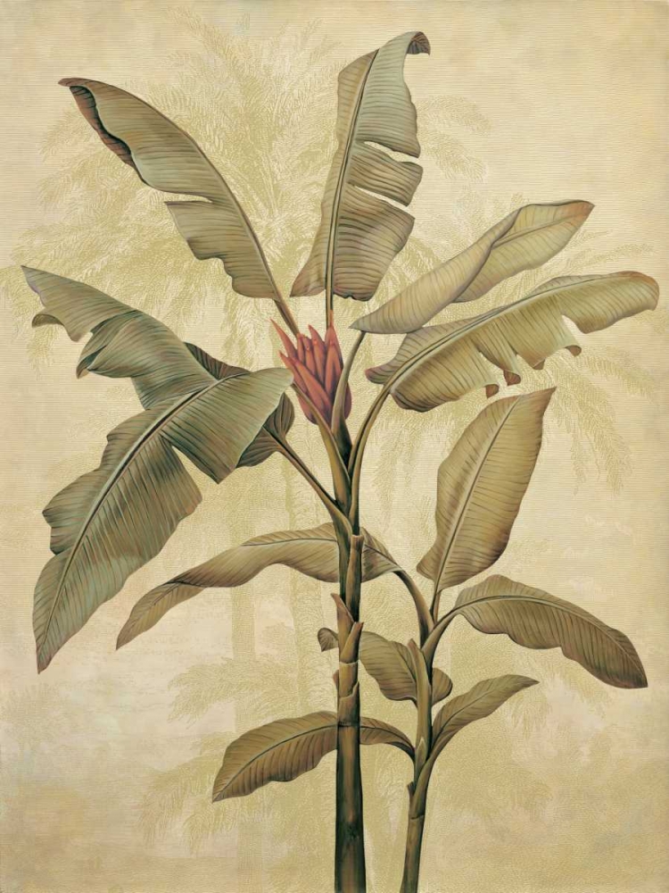 Palms of the Tropics I