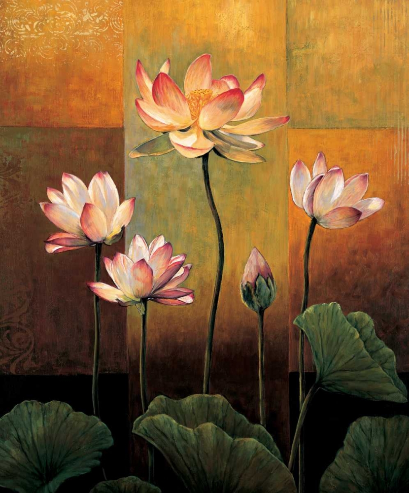 Lotus