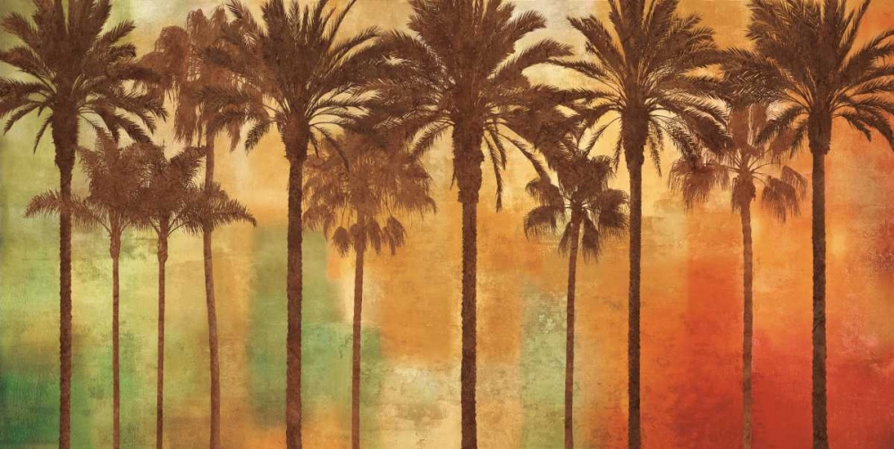 Palm Paradise