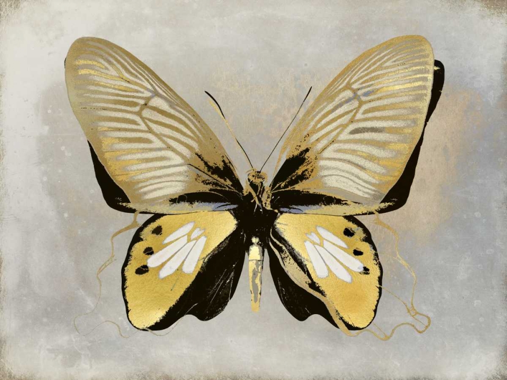 Butterfly Study I