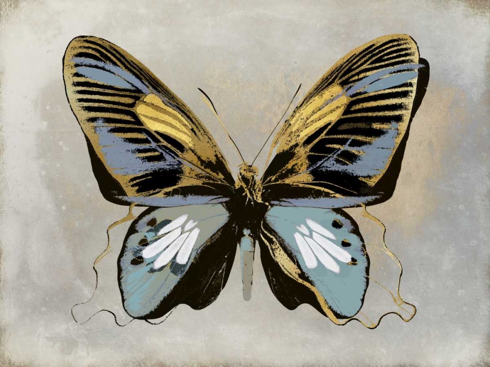 Butterfly Study II