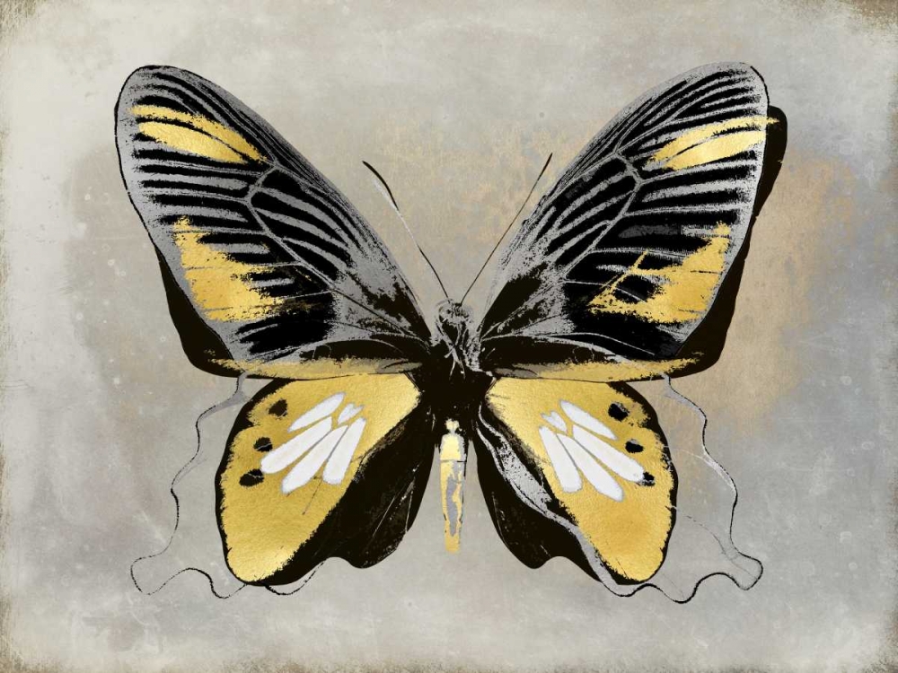 Butterfly Study III