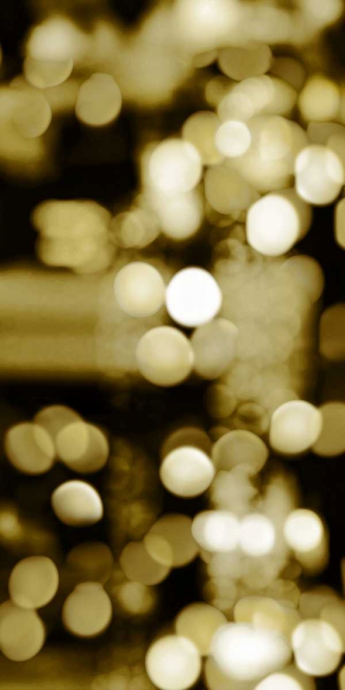 Golden Reflections Triptych I