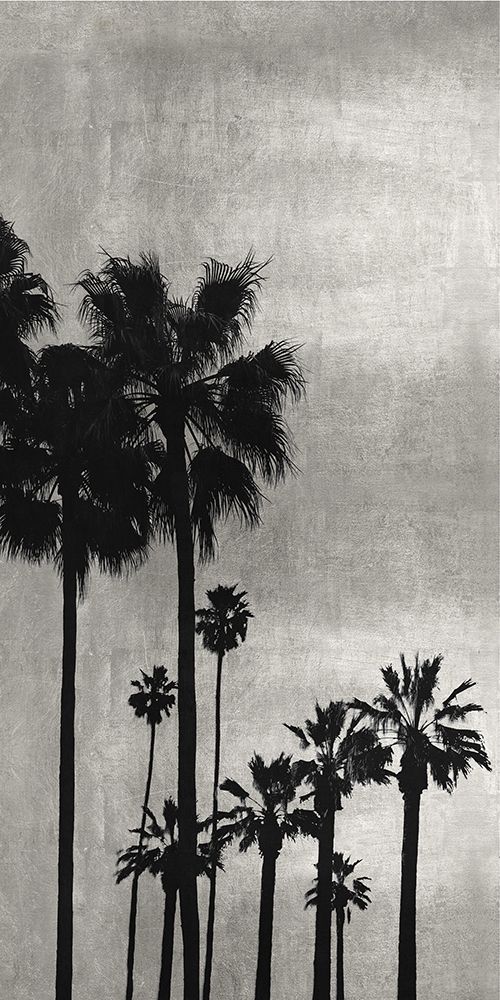 Palm Silhouette on Silver I