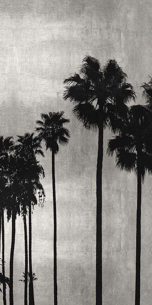 Palm Silhouette on Silver III