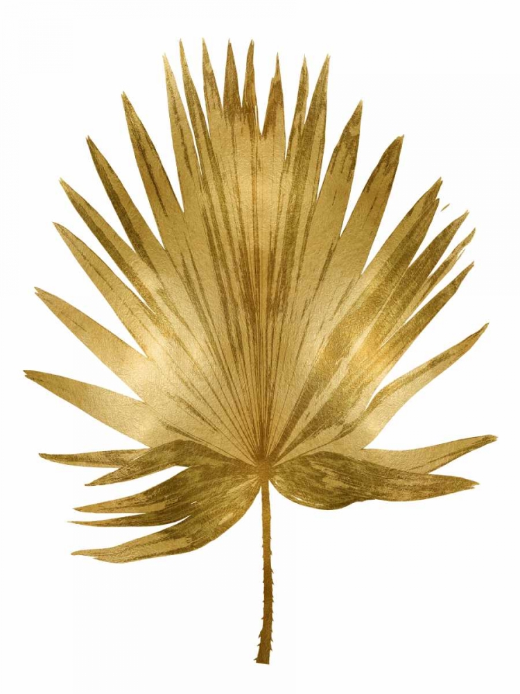 Gold Palm IV