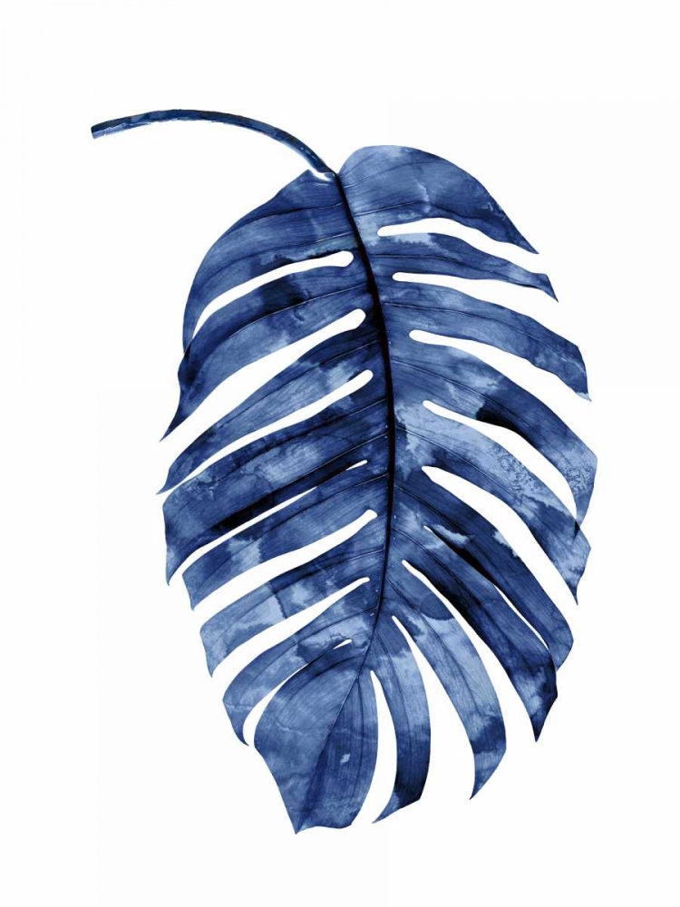 Indigo Palm II