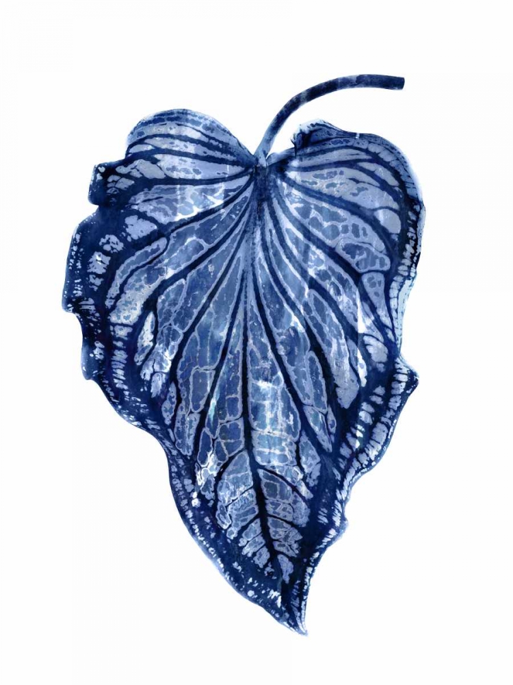 Indigo Palm III