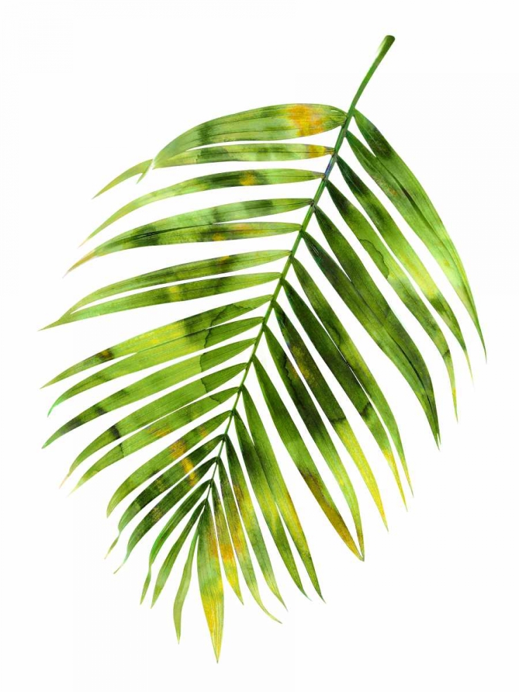 Palm I