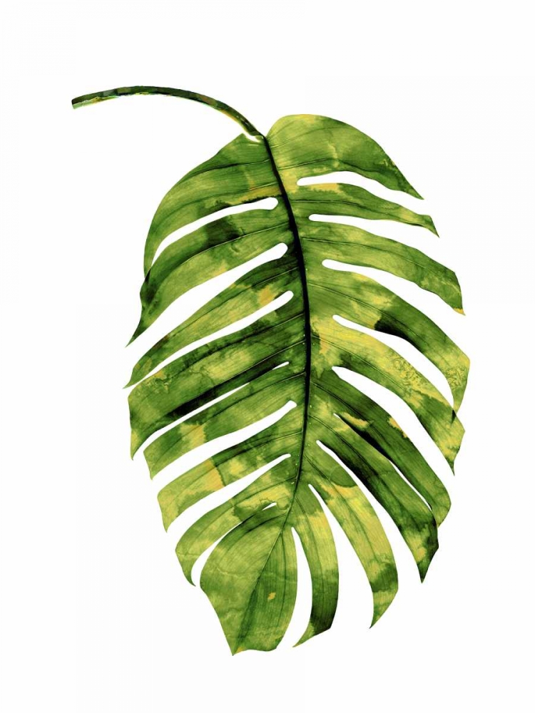 Palm II
