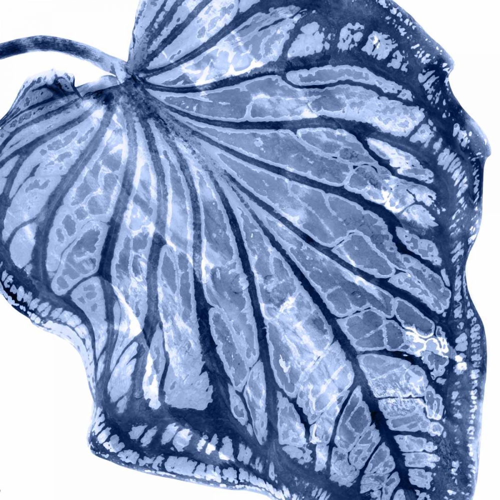 Tropical Indigo Palm III