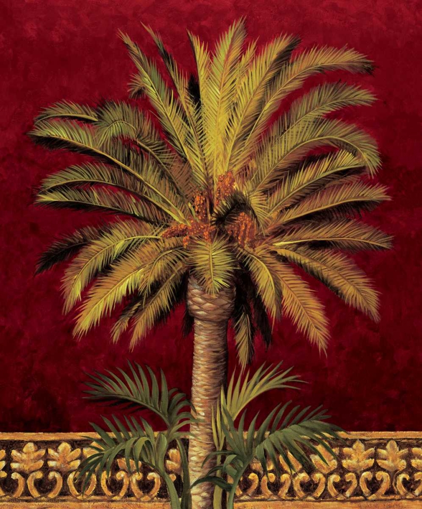 Canary Palm