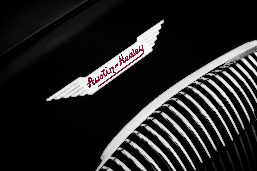 Austin-Healey 100 Detail