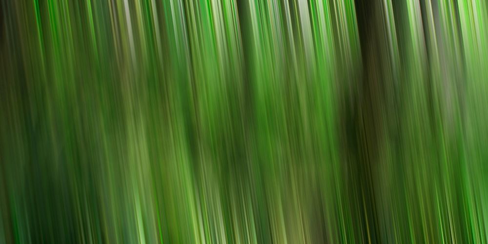 Tree motion