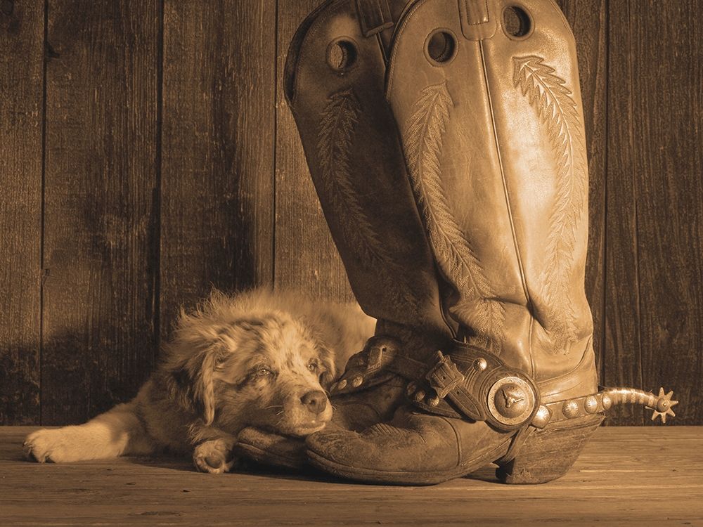 Dixie Sepia