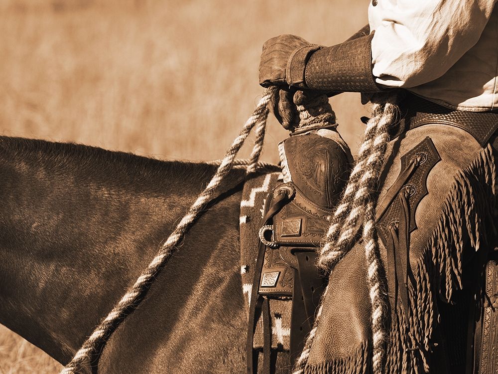 Buckaroo I
